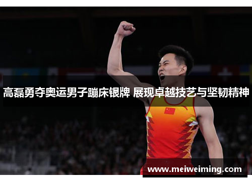 高磊勇夺奥运男子蹦床银牌 展现卓越技艺与坚韧精神 高磊勇夺奥运男子蹦床银牌 展现卓越技艺与坚韧精神