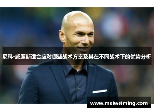 尼科-威廉斯适合应对哪些战术方案及其在不同战术下的优势分析