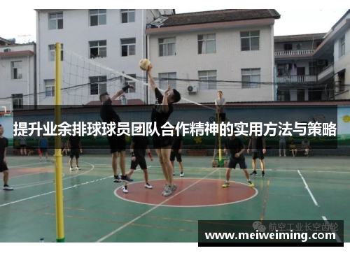提升业余排球球员团队合作精神的实用方法与策略