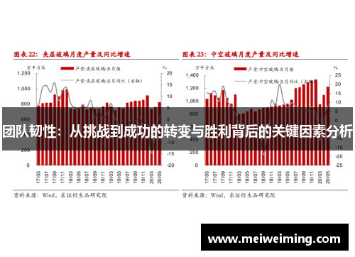 团队韧性:从挑战到成功的转变与胜利背后的关键因素分析 团队韧性:从挑战到成功的转变与胜利背后的关键因素分析