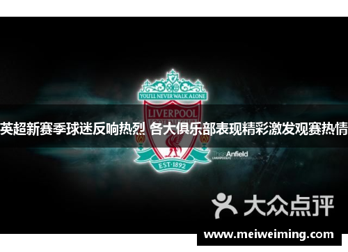 英超新赛季球迷反响热烈 各大俱乐部表现精彩激发观赛热情 英超新赛季球迷反响热烈 各大俱乐部表现精彩激发观赛热情