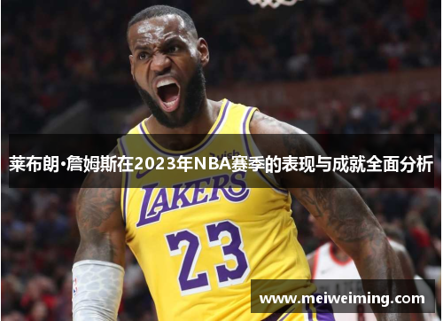 莱布朗·詹姆斯在2023年NBA赛季的表现与成就全面分析