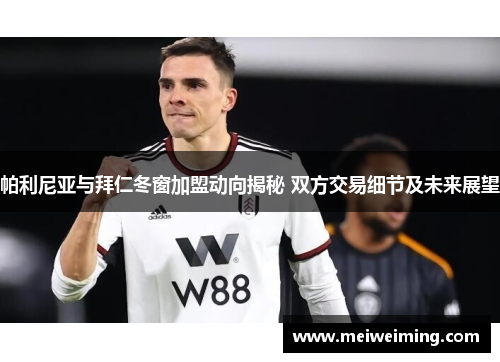 帕利尼亚与拜仁冬窗加盟动向揭秘 双方交易细节及未来展望 帕利尼亚与拜仁冬窗加盟动向揭秘 双方交易细节及未来展望