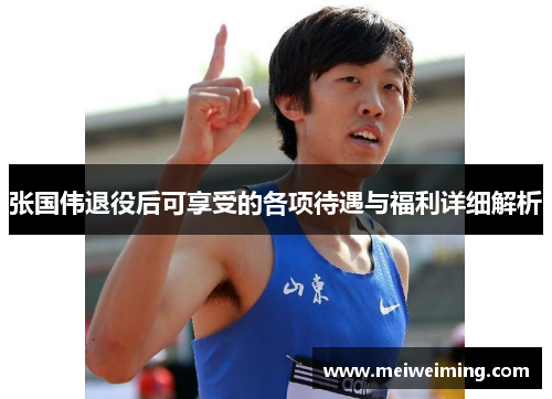 张国伟退役后可享受的各项待遇与福利详细解析